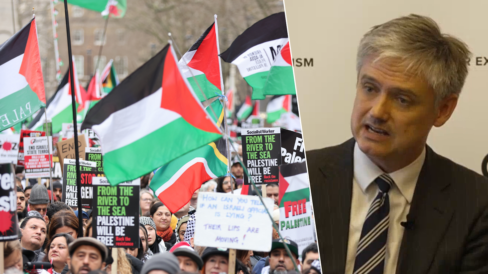 Pro-Palestine protesters/Lord Walney