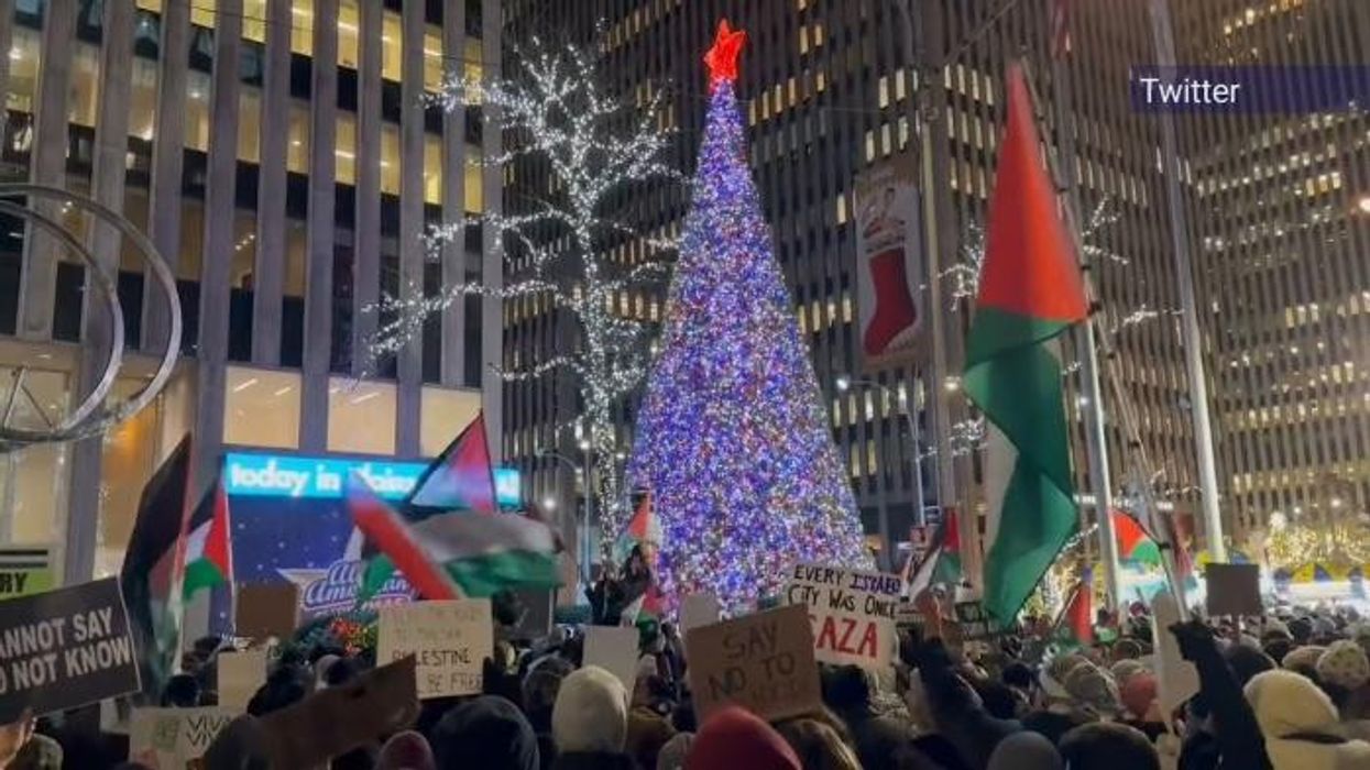 New York driver gets out of car and SHOVES Palestine protesters after road blocked