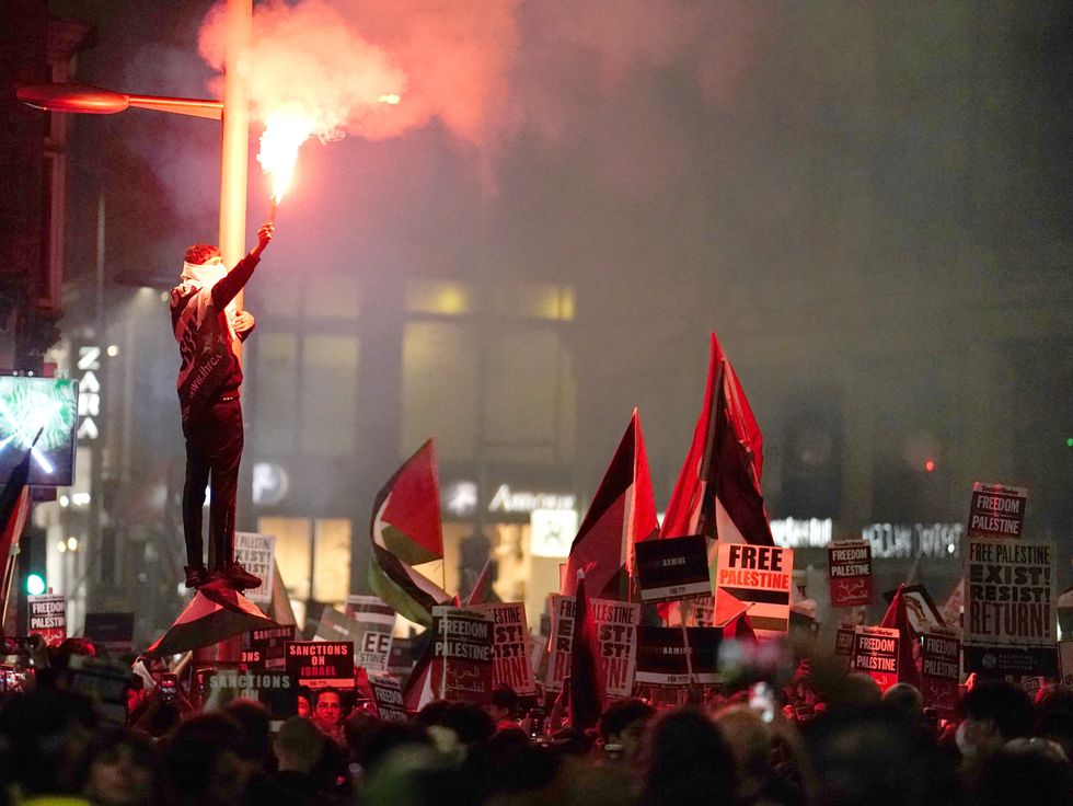 Pro-Palestine protesters