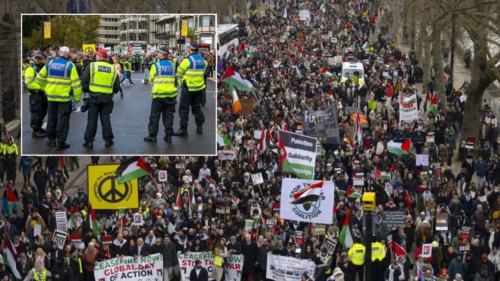 Pro-Palestine protesters