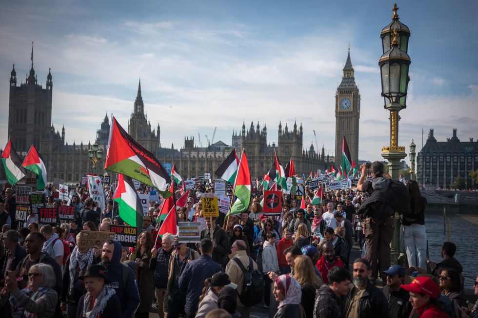 Pro-Palestine protesters