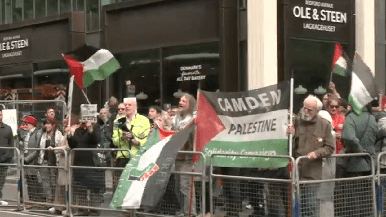Pro-Palestine protesters
