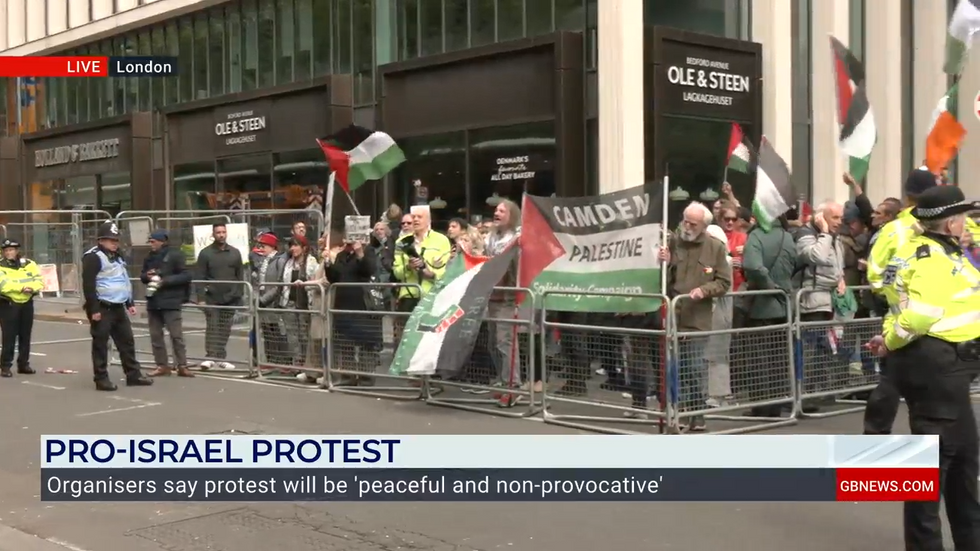 Pro-Palestine protesters