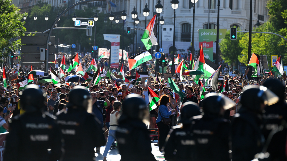Pro-Palestine protesters