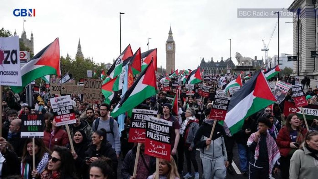 Palestine marches could go on for MONTHS: 'We’ll keep marching until a ceasefire is called!'