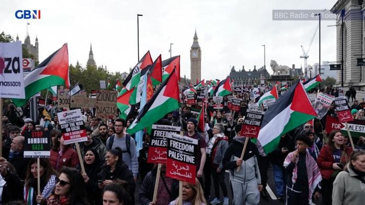Pro-Palestine protestors declare ‘Met Police are with us!’ as they feel ‘vindicated’ by Sir Mark Rowley
