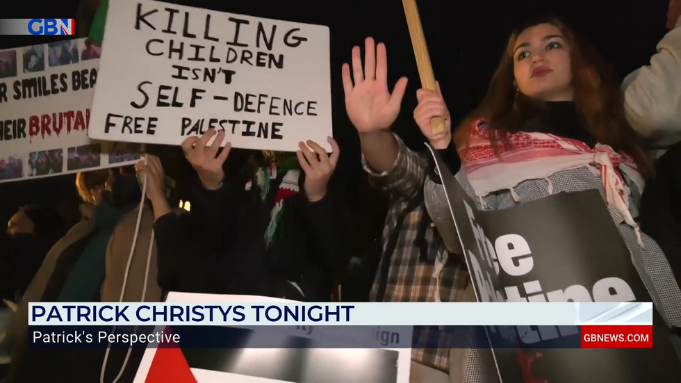 Pro-Palestine protestors