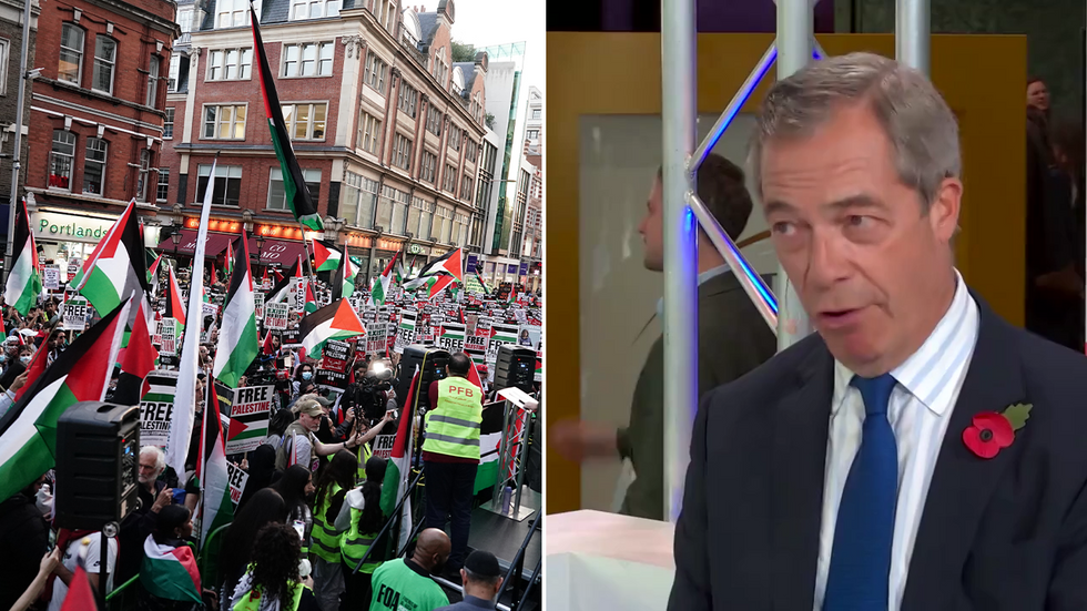 Pro-Palestine protests and Nigel Farage