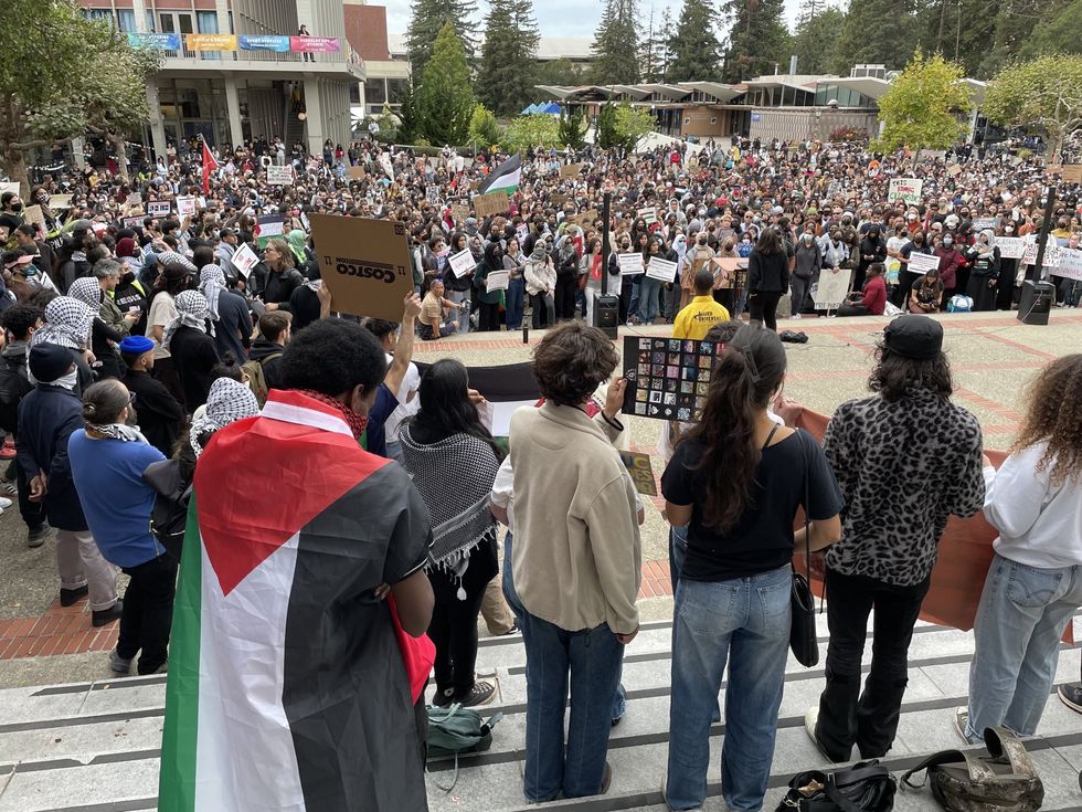 Pro-Palestine protests in 2023