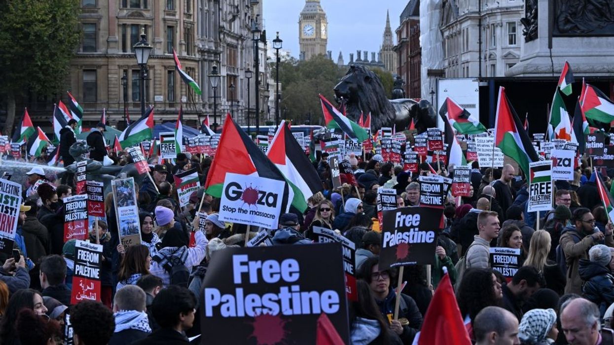 Pro-Palestine protests in London