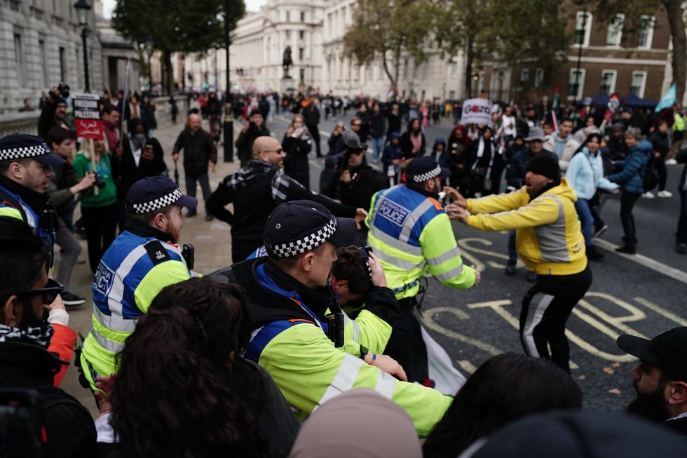 Pro-Palestinian protesters clash with police ahead of Armistice Day