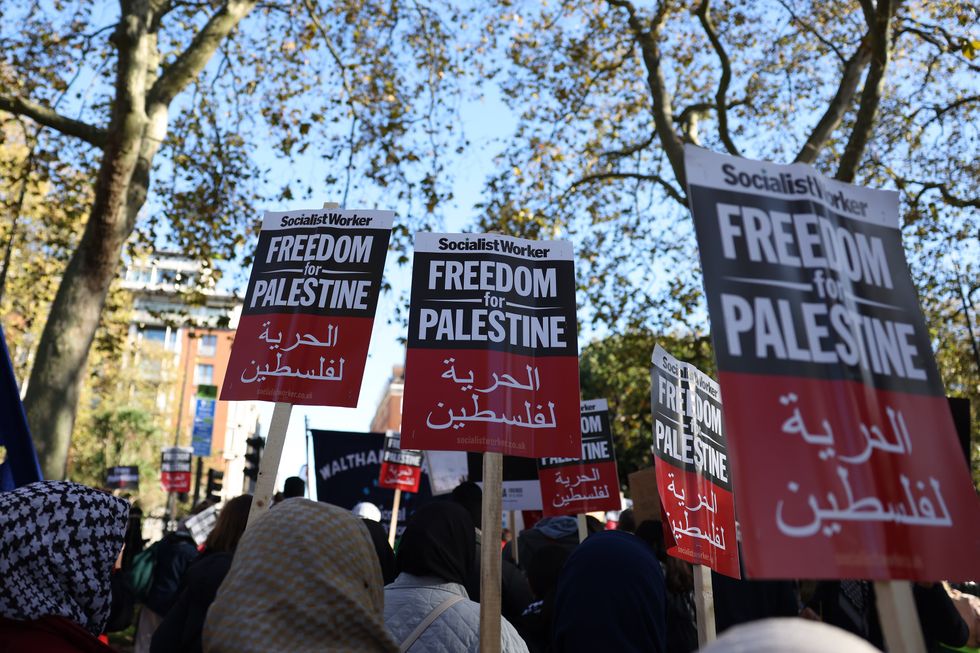 Pro-Palestinian protesters gather in Hyde Park
