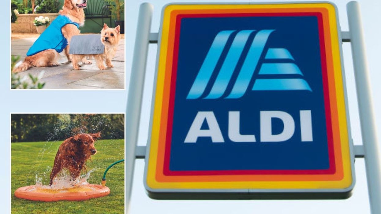 Products from Aldi pet range / Aldi