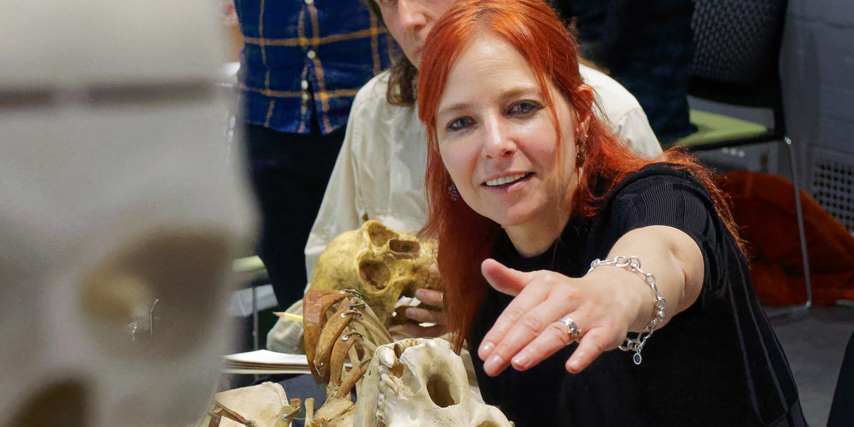 NextImg:Historian warns Britain is 'losing sight of its Christian past' despite mocking believers for worshipping ‘dead people’
