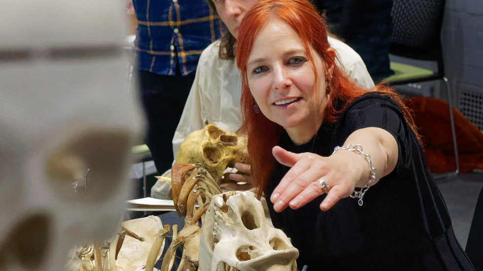 Professor Alice Roberts