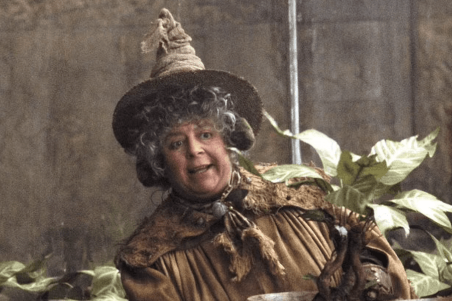 Professor Pomena Sprout