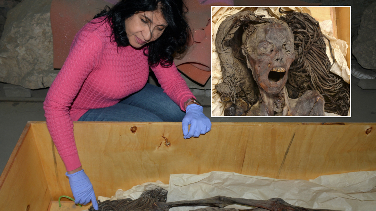 Professor Sahar Saleem examines the mummy