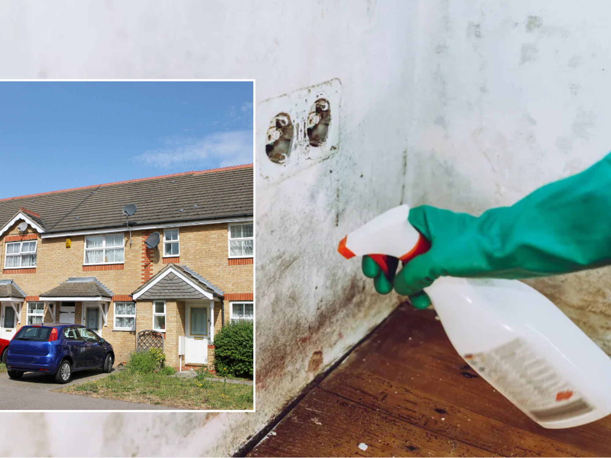 Property / mould on wall