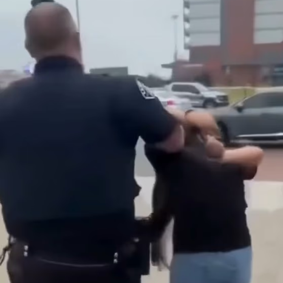 Protester and police officer