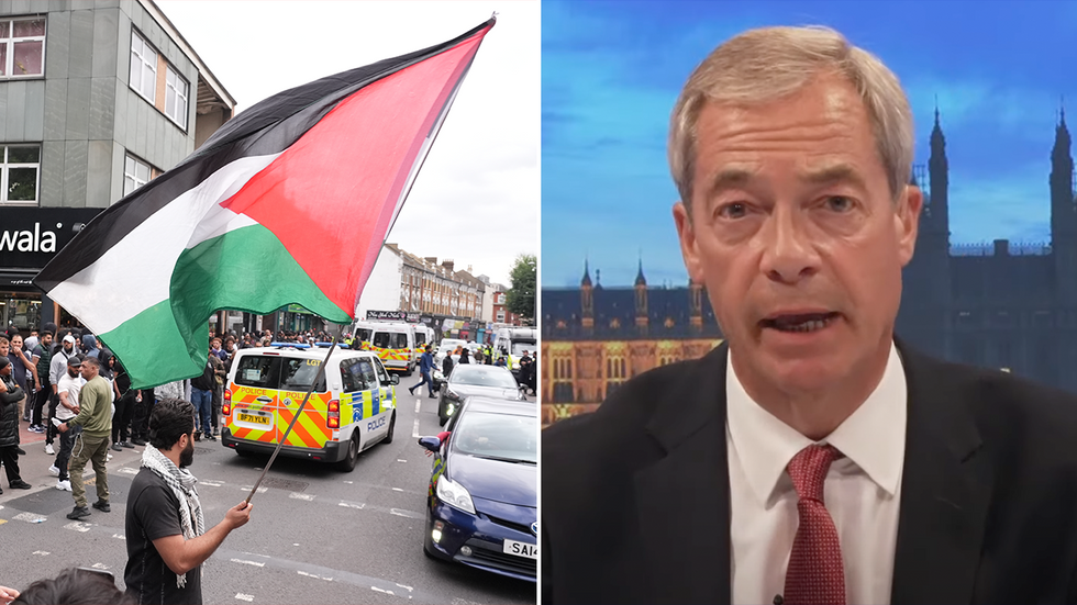 Protester brandishing Palestine flag and Nigel Farage