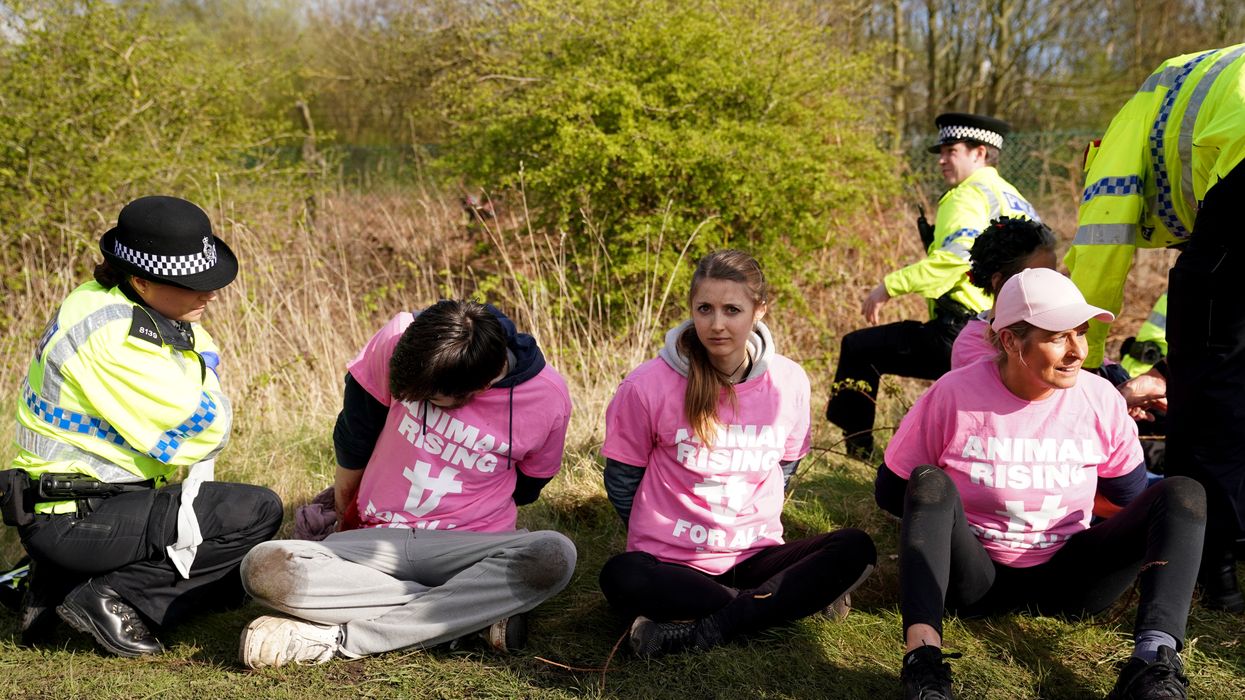 Protesters are detained by police during day three of the Randox Grand National Festival