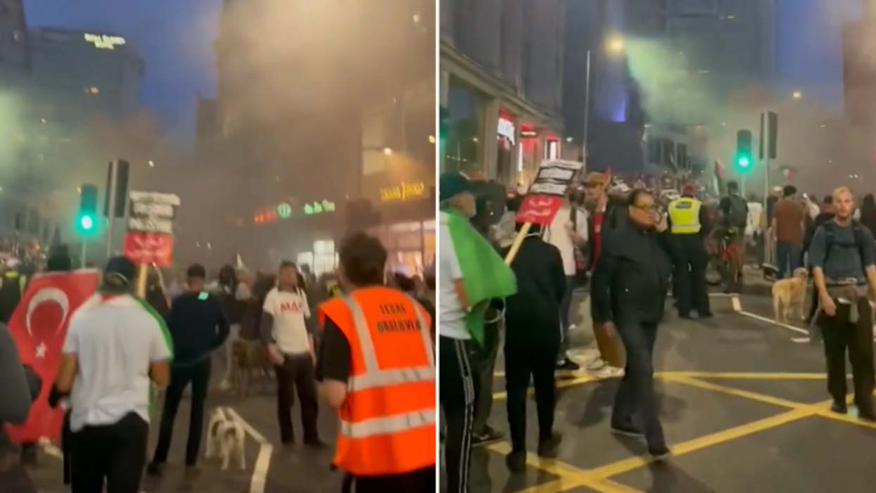 ‘Frightening’: Nigel Farage blasts ‘support for barbarous actions’ as pro-Palestinians march in London