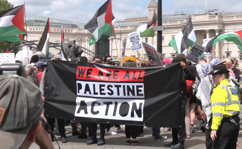 Protesters from Palestine Action descended on London