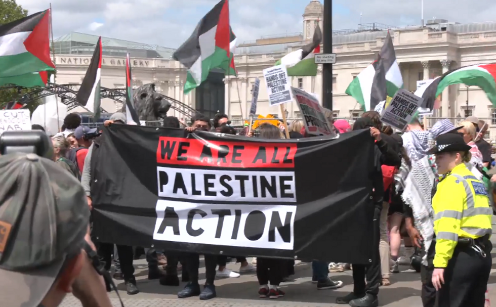 Protesters from Palestine Action descended on London