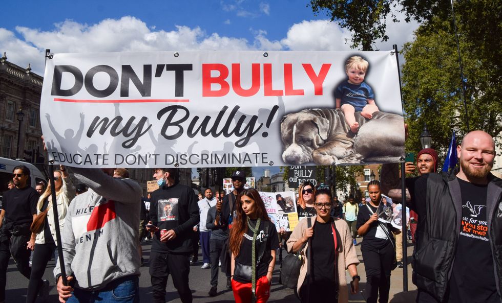 Protesters hold a banner which states 'Don't bully my bully' during the demonstration in Whitehall
