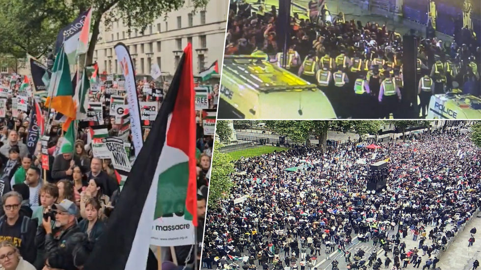 Protesters in Whitehall/clashes with police
