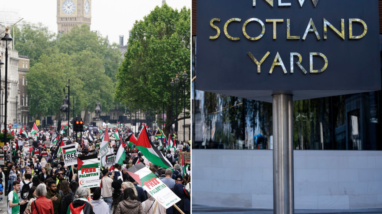 Palestine protest witnesses sought by police after 'sexual assault' on woman at London march