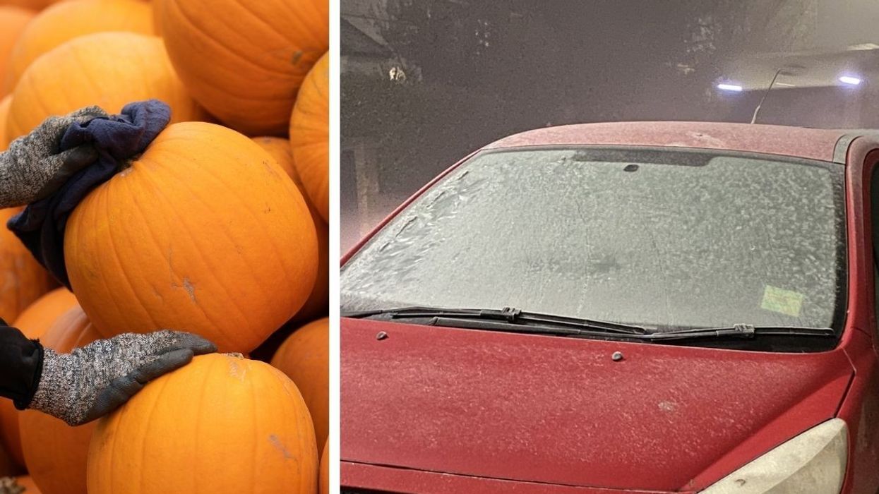 Pumpkin and windscreen frost
