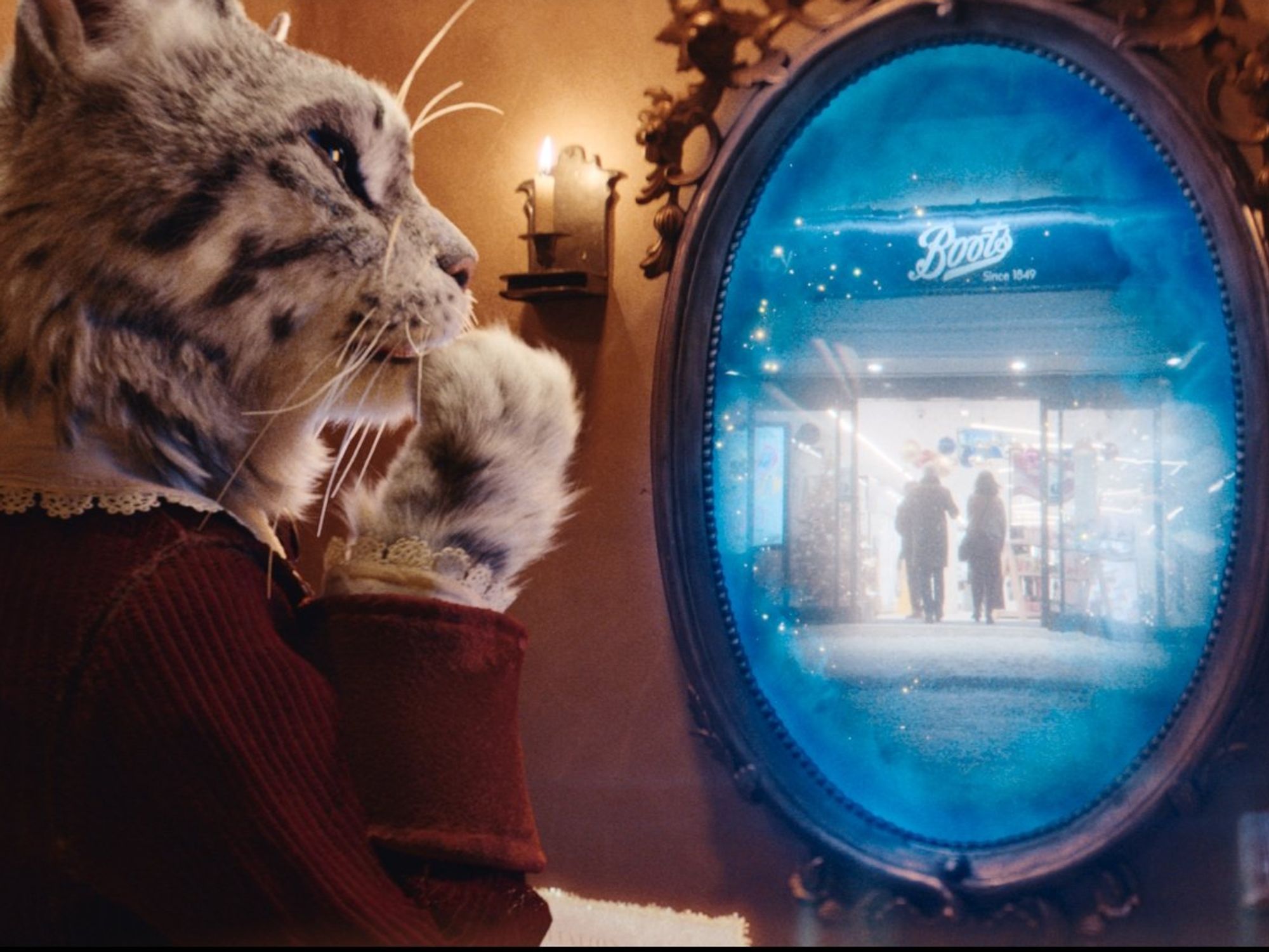 Puss looking in magic mirror