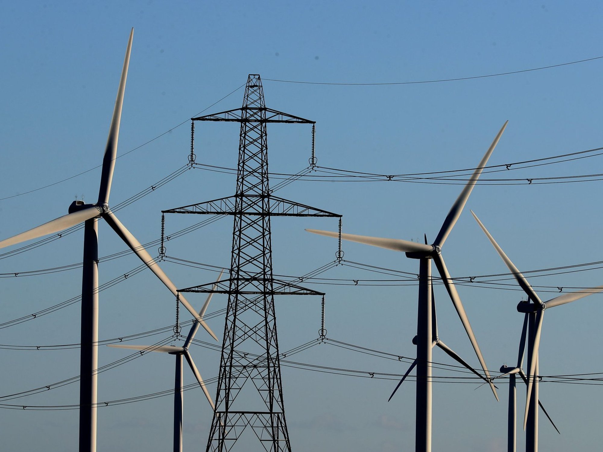Pylon and wind turbines