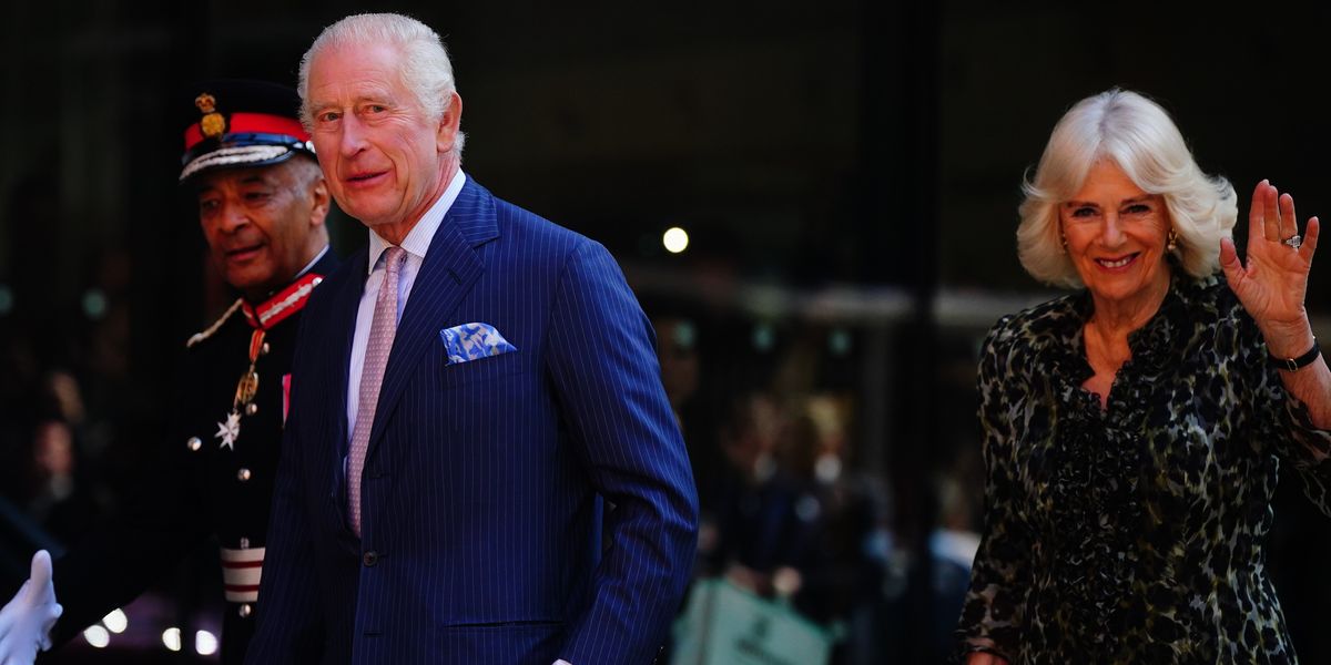 NextImg:Queen Camilla's son provides health update on King Charles and shares insight into monarch's cancer treatment