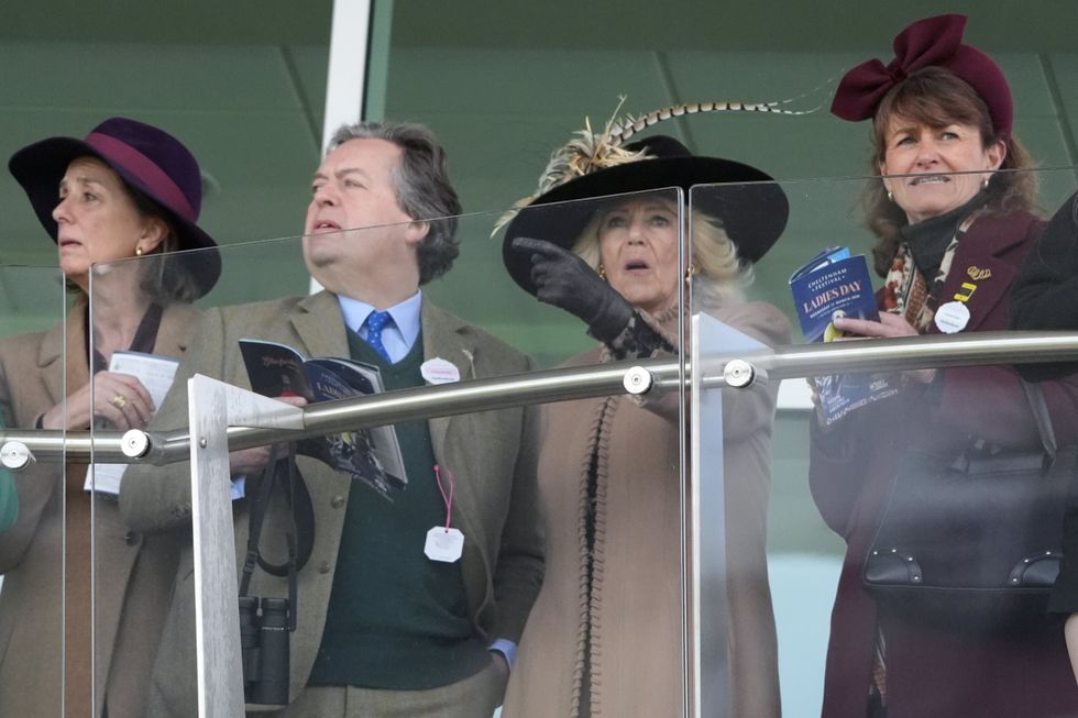Queen Camilla at Ladies Day at Cheltenham