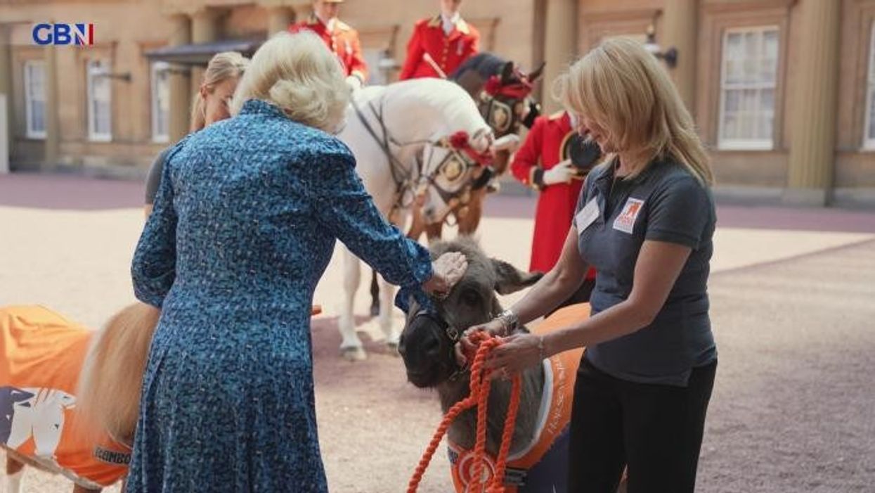 Queen Camilla meets GB News star Alastair Stewart at Buckingham Palace reception for cause close to his heart