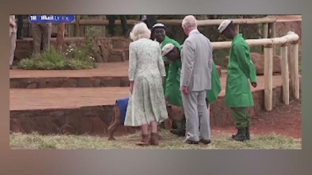 Queen Camilla's ‘frisky hands’ with King Charles spotted in rare PDA