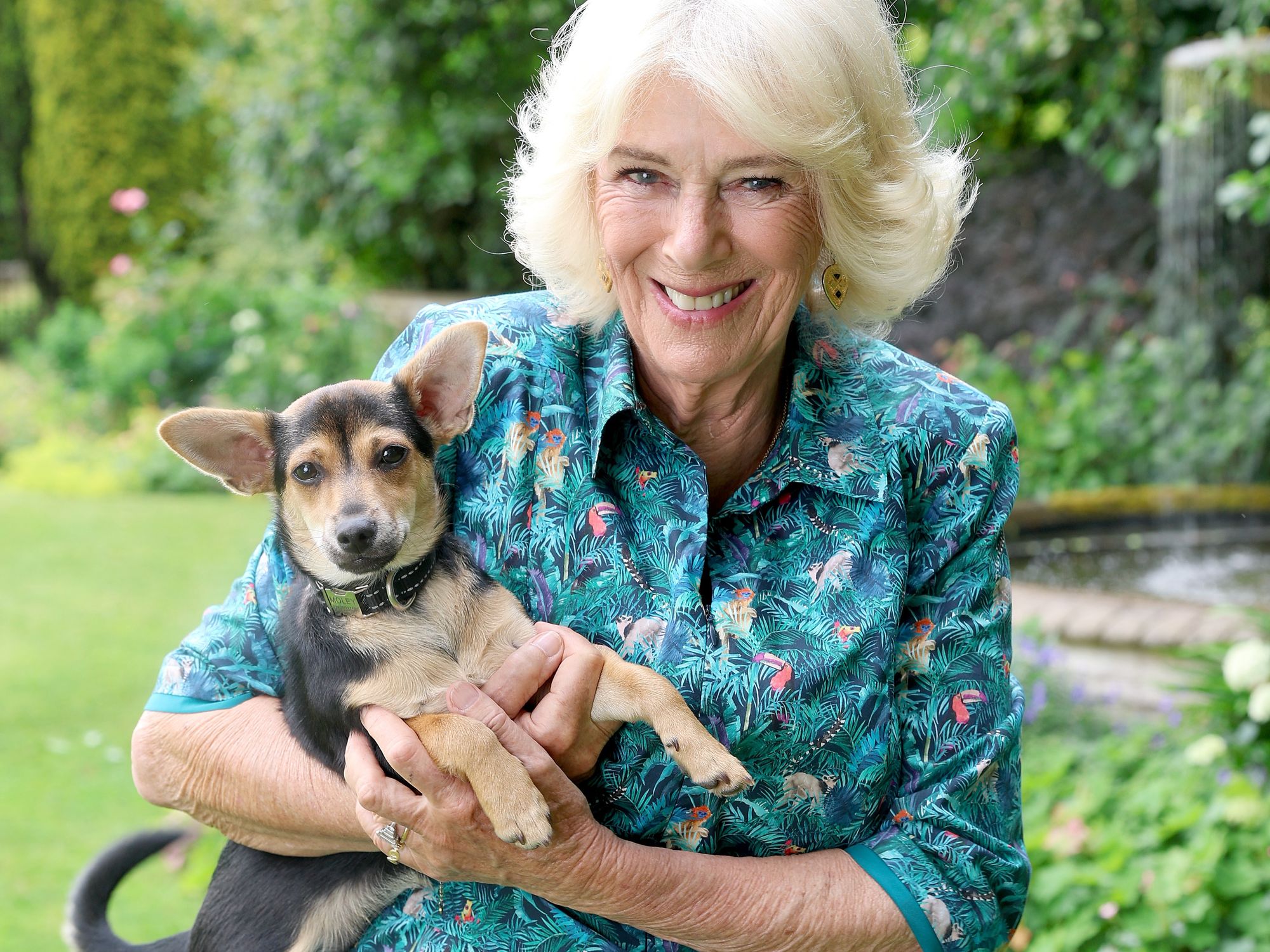 Queen Camilla, Moley