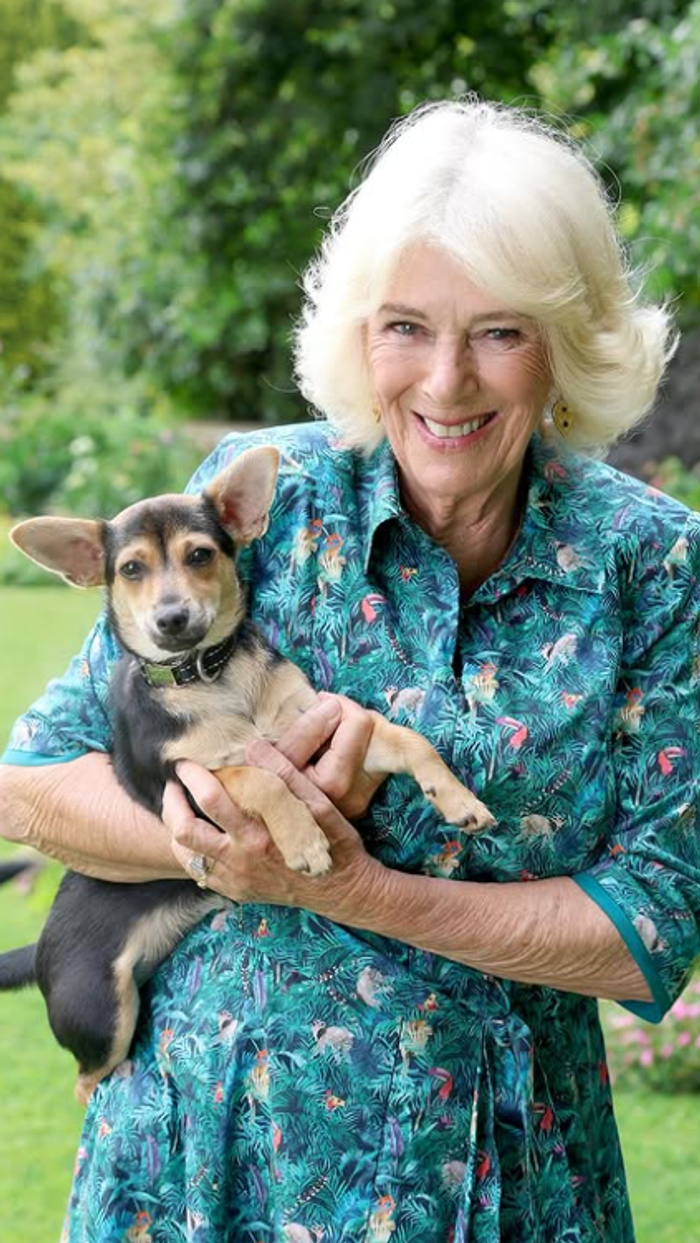 Queen Camilla, Moley