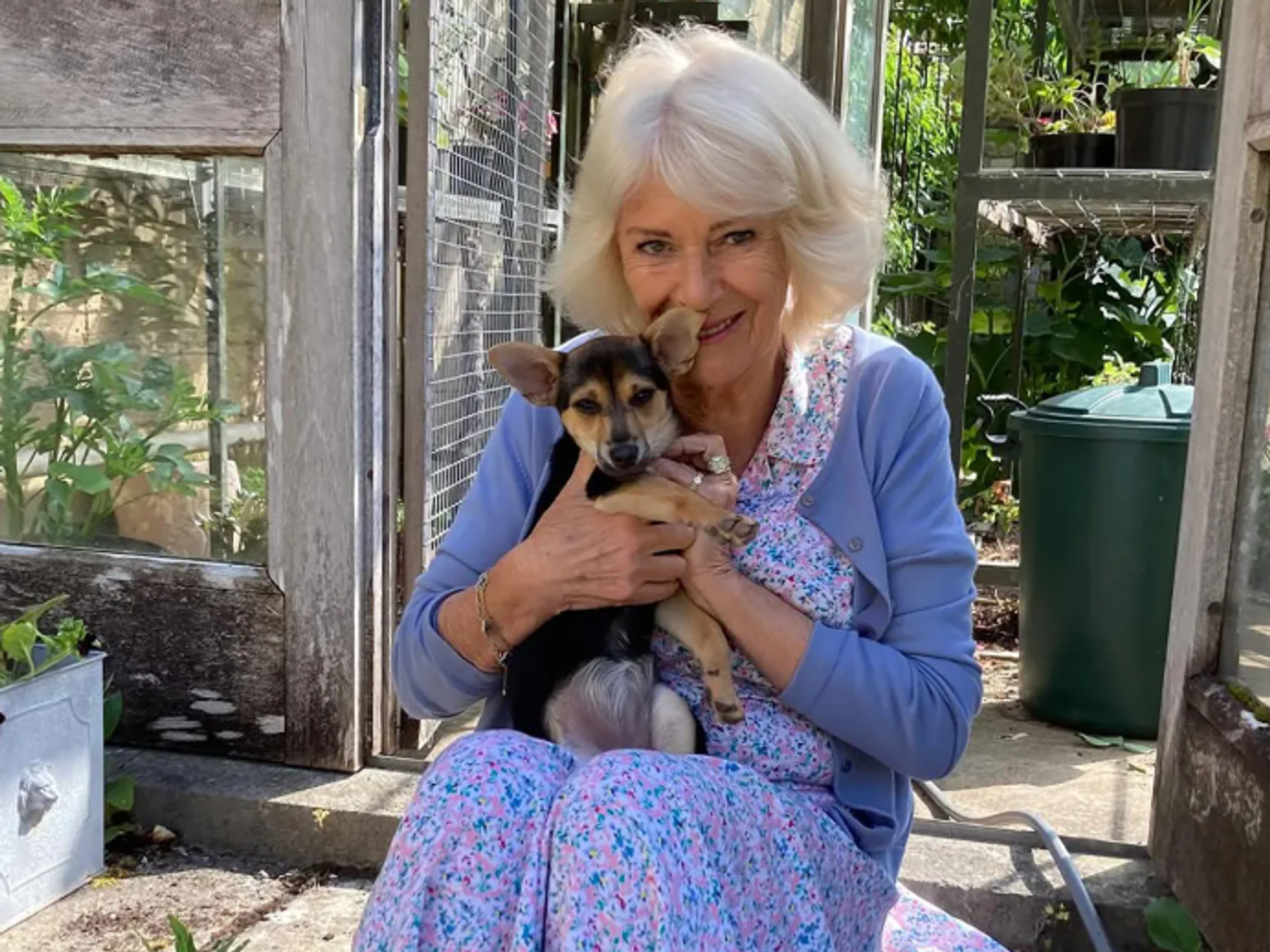 Queen Camilla, Moley