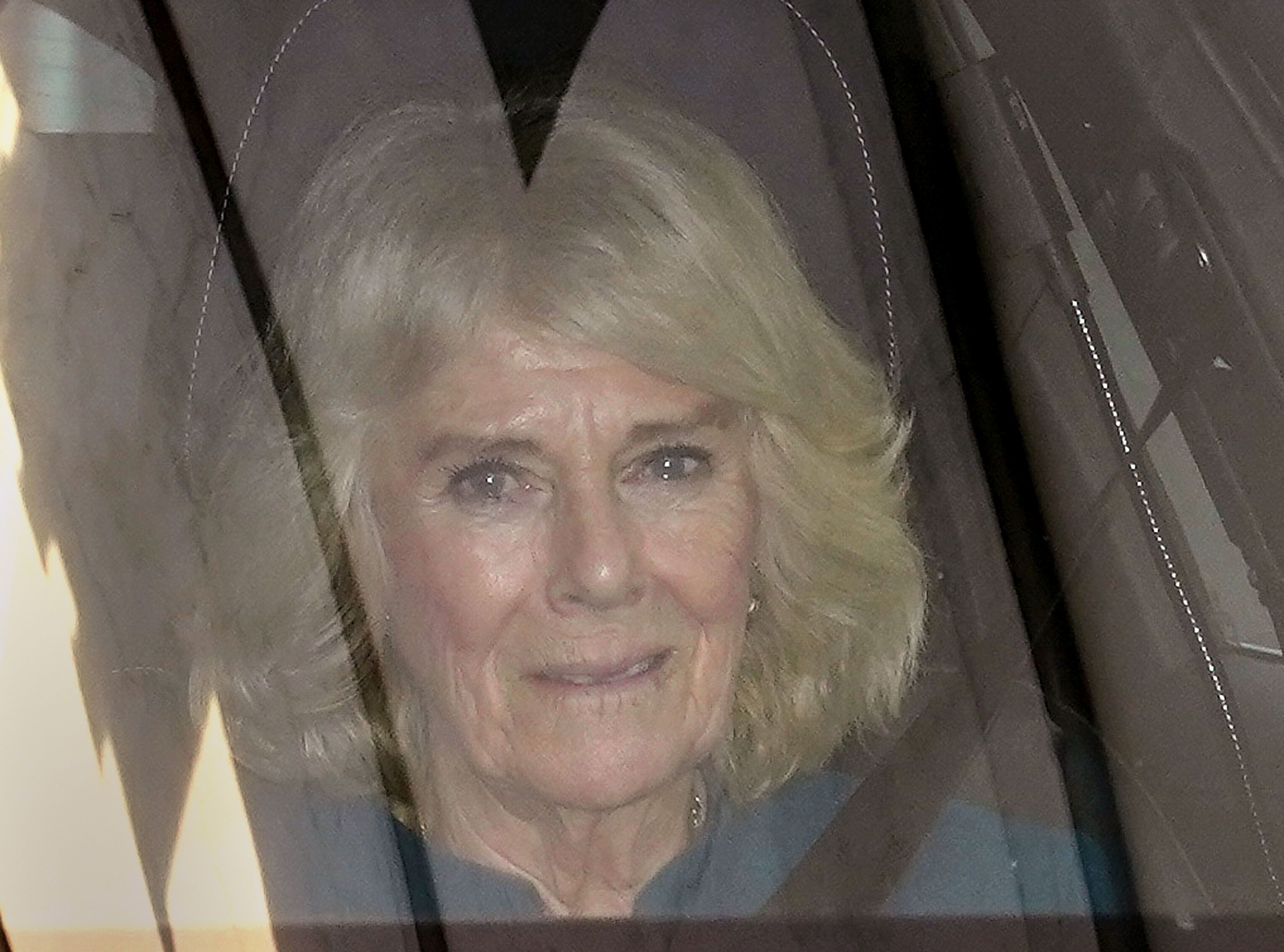 Queen Camilla