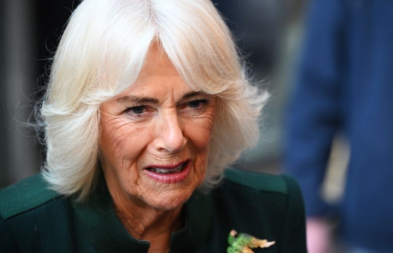 Queen Camilla reveals heartbreaking admission during royal appearance in  Northern Ireland