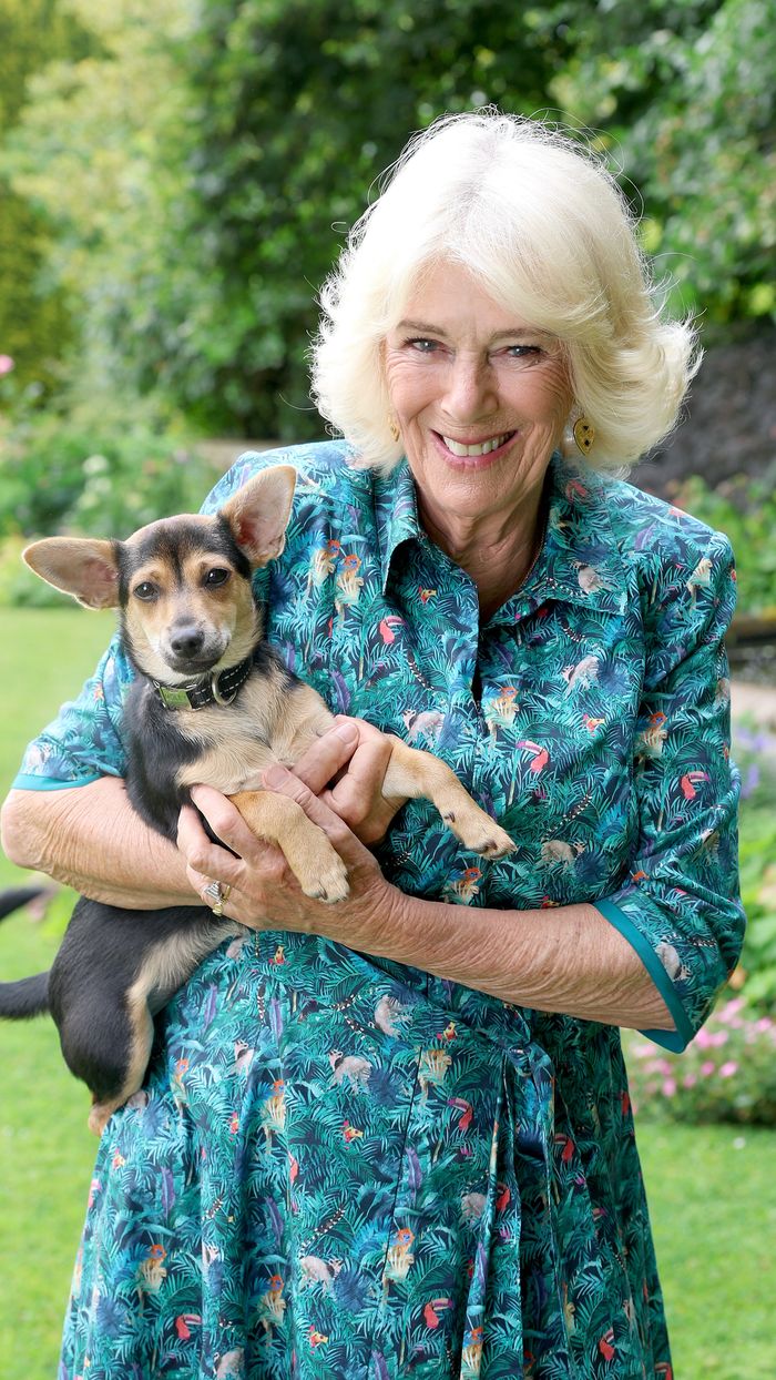 Queen Camilla