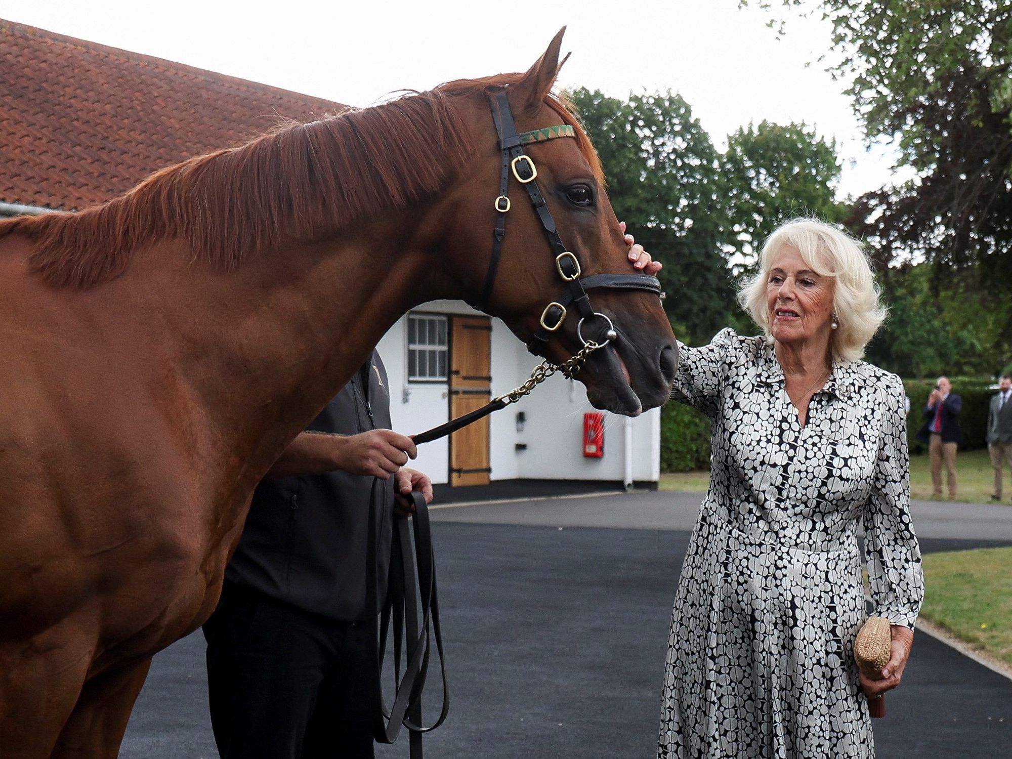 Queen Camilla