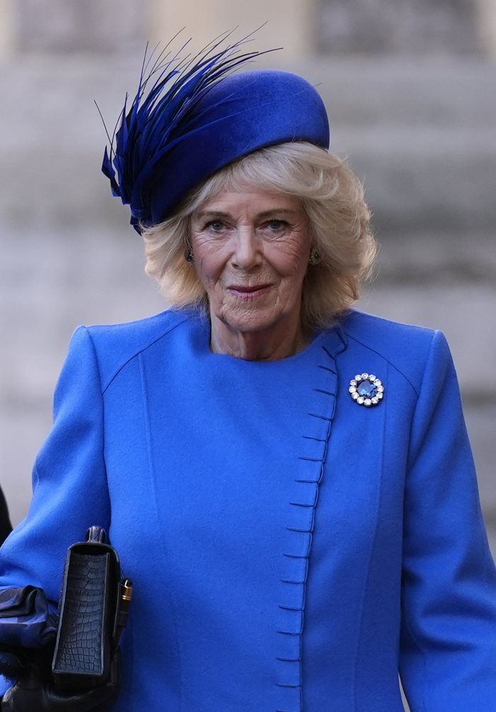 Queen Camilla