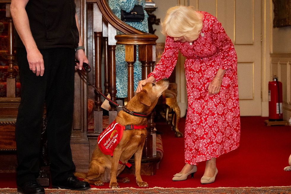 Queen Camilla