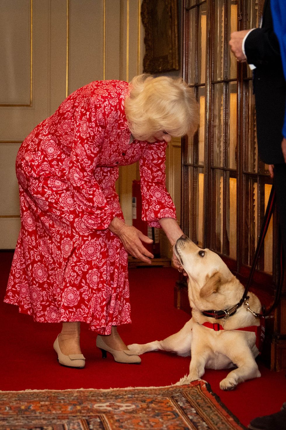 Queen Camilla