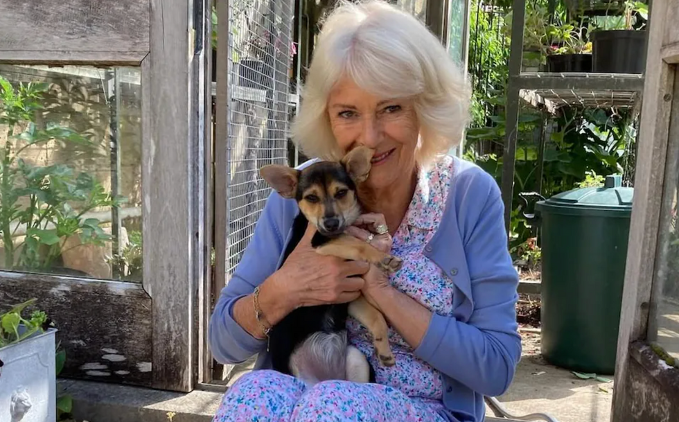 Queen Camilla