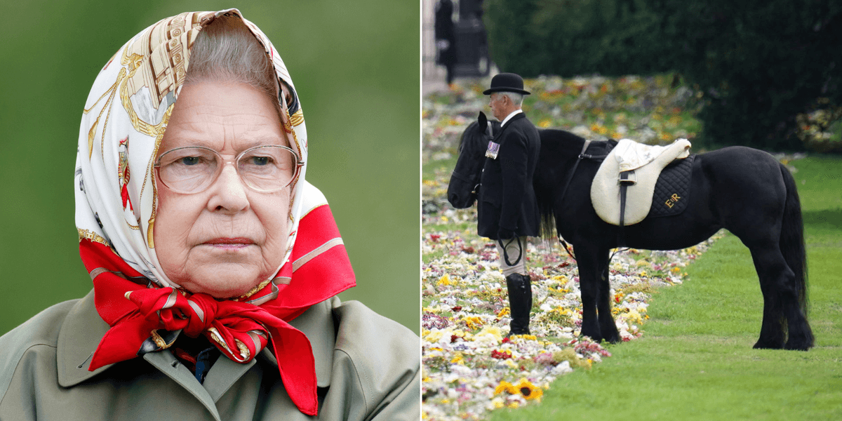 Queen Elizabeth II’s favourite pony to be immortalised in unique way Queen Elizabeth II’s favourite pony to be immortalised in unique way